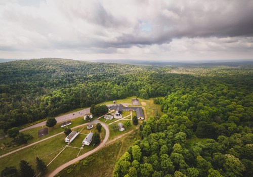 The Impact of Technology on Heritage Preservation and Promotion in Wayne County, Michigan